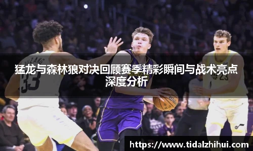 猛龙与森林狼对决回顾赛季精彩瞬间与战术亮点深度分析
